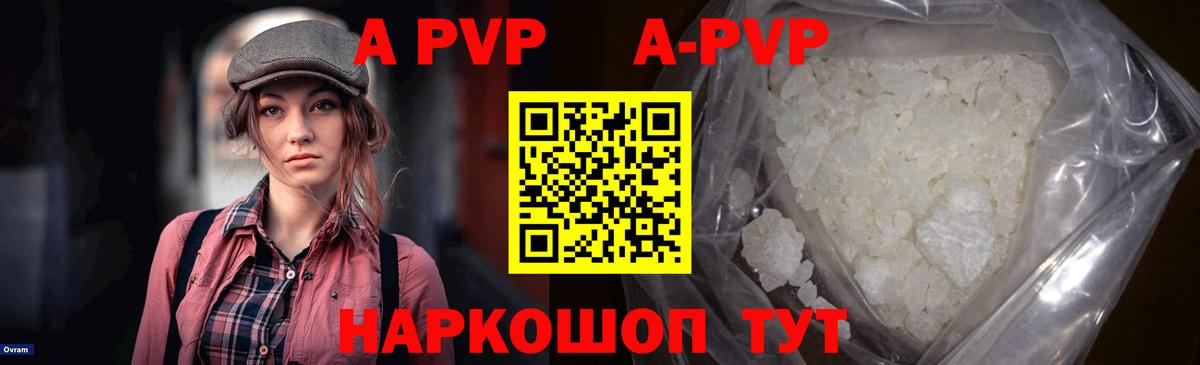 Альфа ПВП СК Коммунар