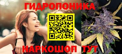 мяу мяу мука Жуковский