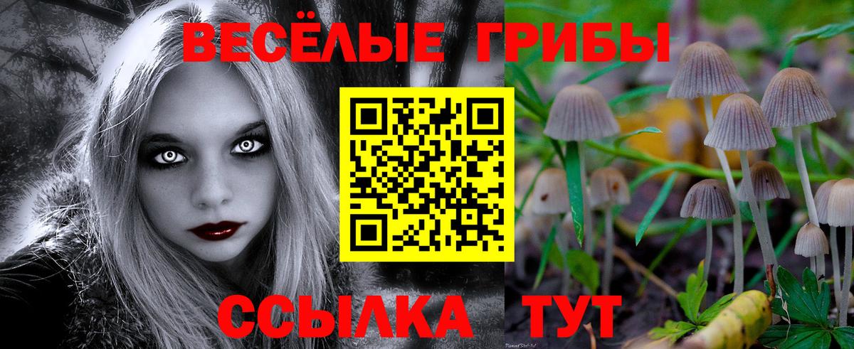 Псилоцибиновые грибы Psilocybine cubensis  Вход с VPN  Коммунар 