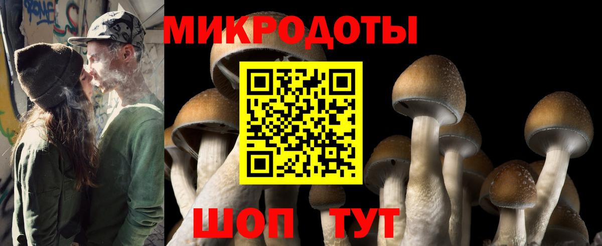 Галлюциногенные грибы GOLDEN TEACHER Коммунар